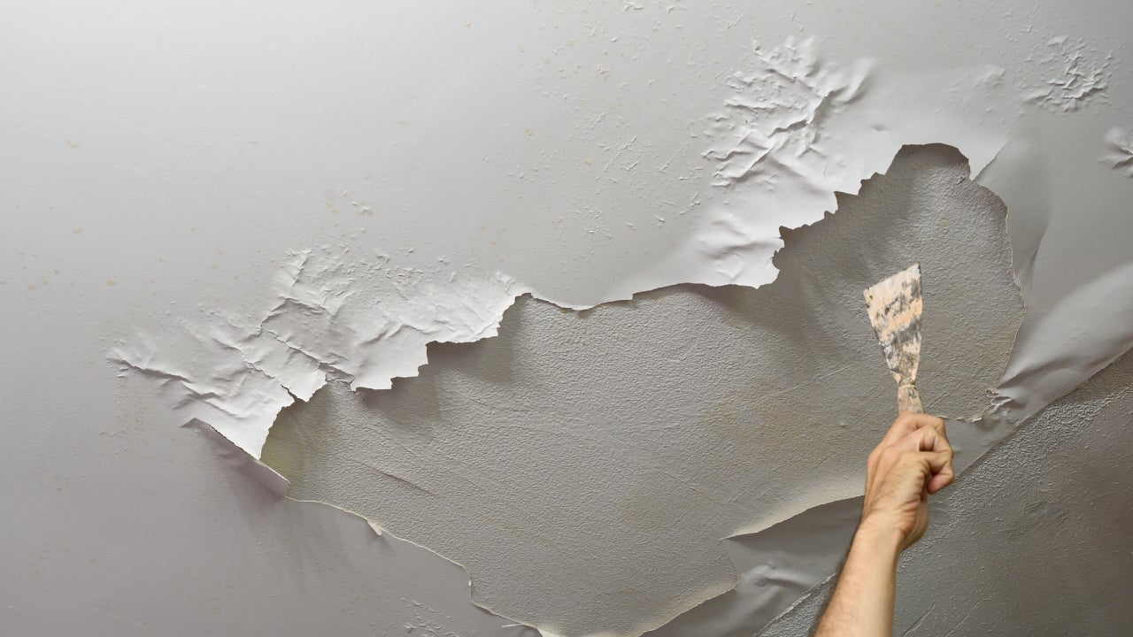 Paint from the ceiling peeling off due to water damage.