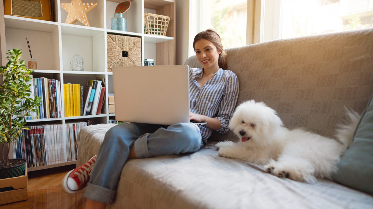 Young woman with her dog using laptop on the couch