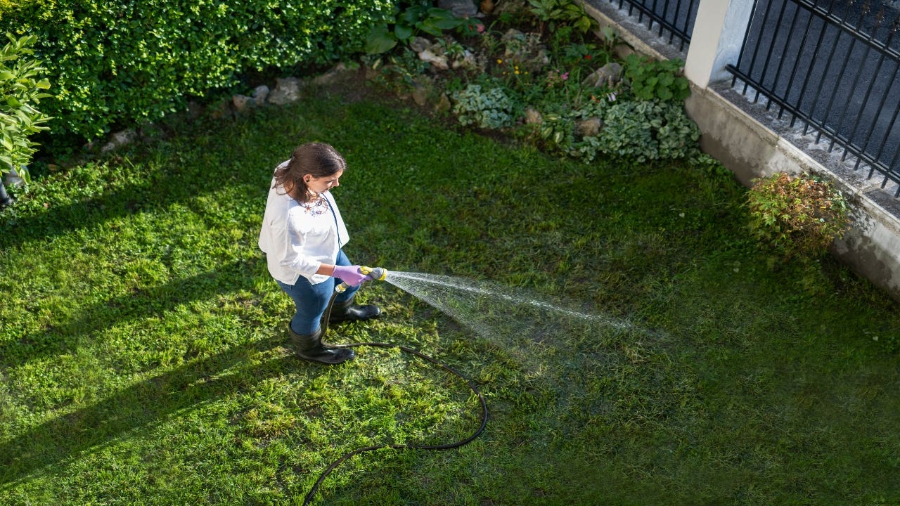 A homeowner waters the lawn