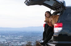 Young woman sitting in the back of her car with her golden retriever