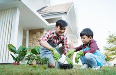 A father and his young son garden together in their yard.