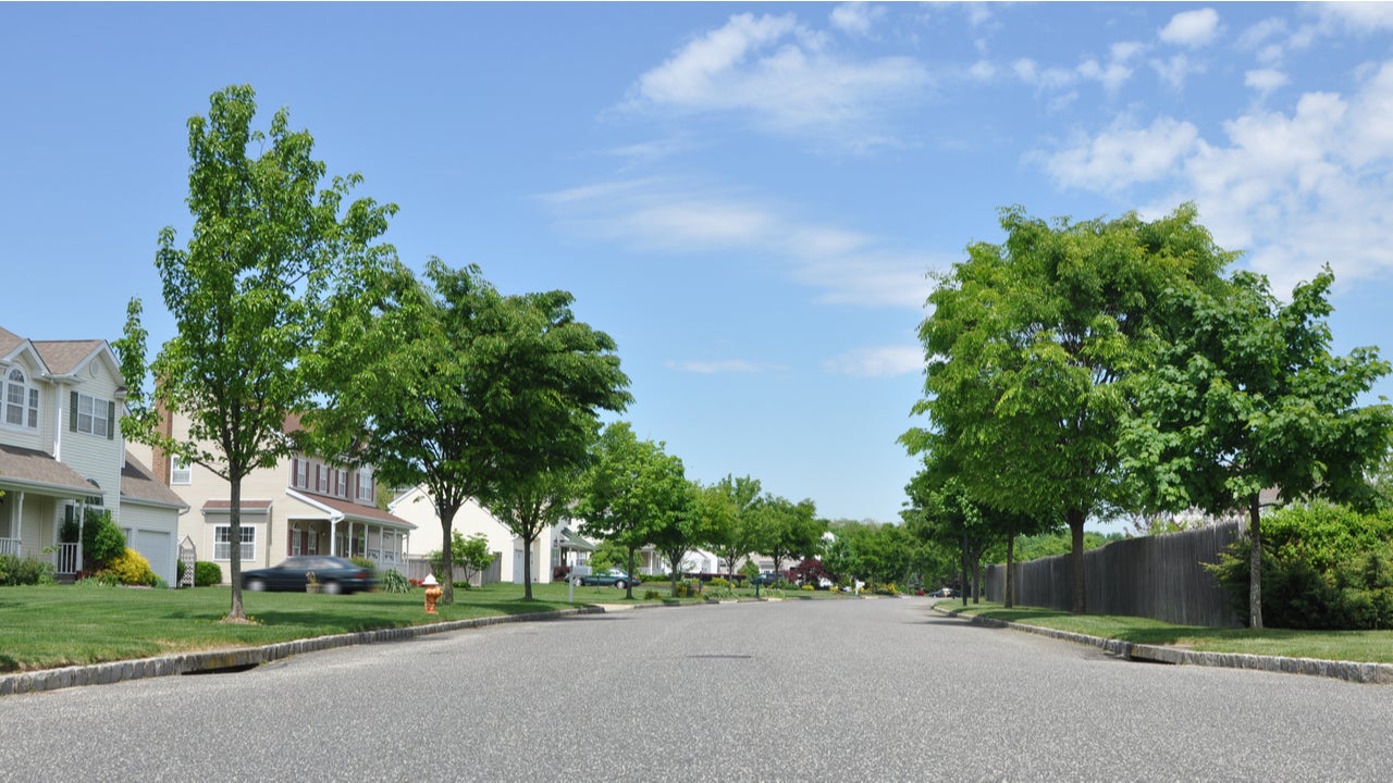 Houses and trees lining a street