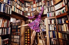 A woman stands on a ladder in a bookstore to reach the highest shelf