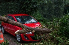 A car hits a tree