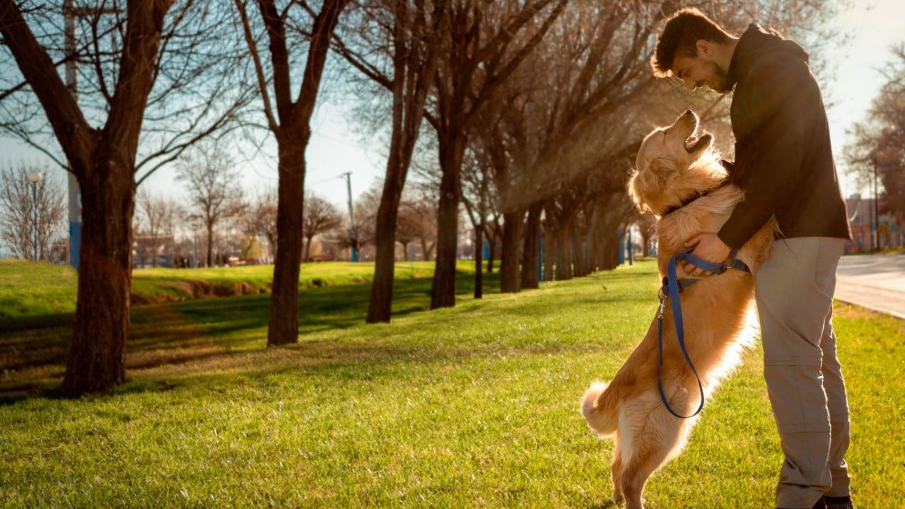 A man plays with his dog.