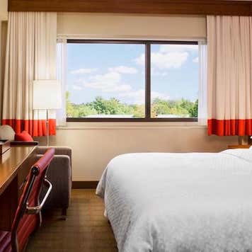 Four Points by Sheraton hotel room