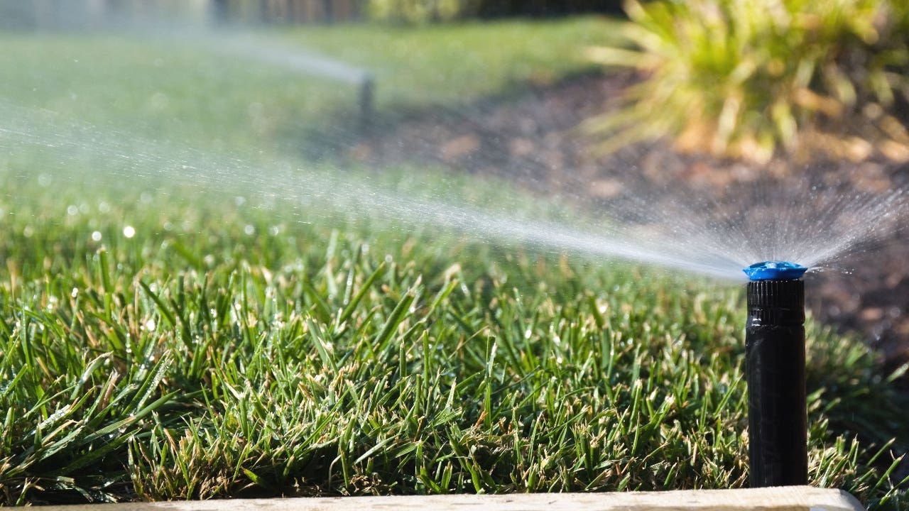 A lawn sprinkler watering the yard