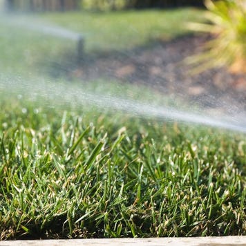 A lawn sprinkler watering the yard