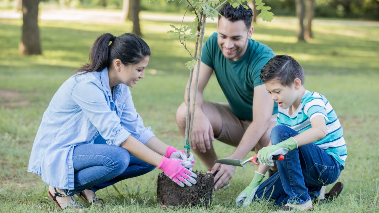 Family planting trees in a park.