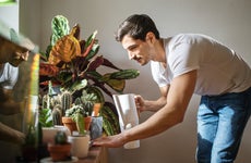 Man watering cacti plants in his living room