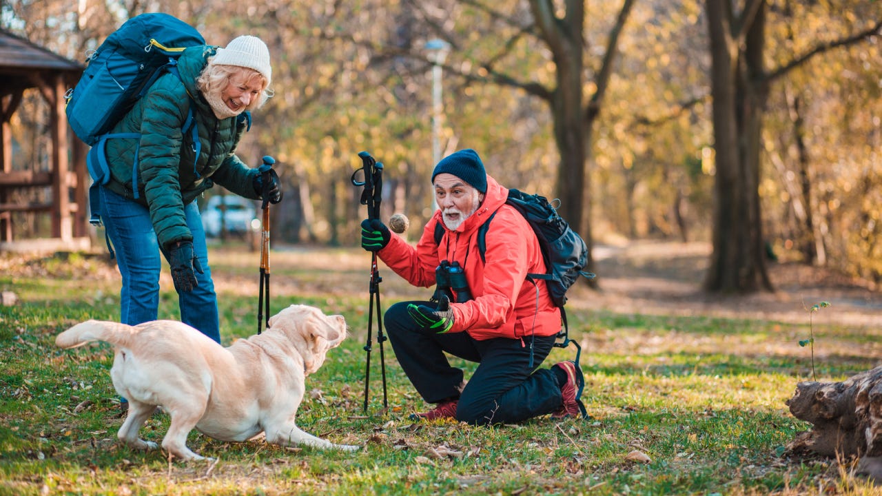An older couple is out for a hike and taking a break to play with their Golden Retriever.
