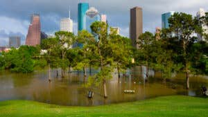 Texas flood insurance