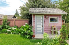 Pink shed in a backyard garden