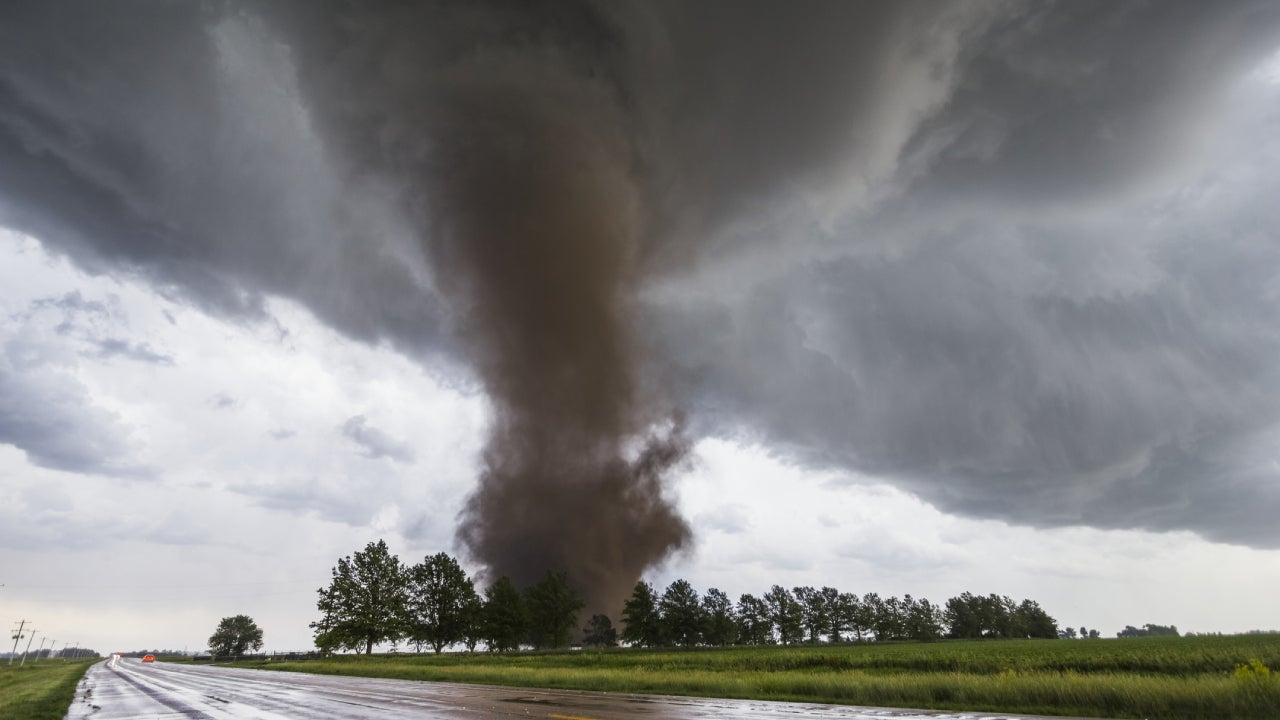 Shot of a tornado whipping through a lightly forested area.