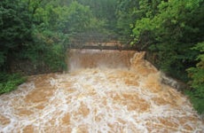 Georgia Flood Insurance