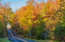 Nice rural drive in West Virginia surrounded by trees with changing leaves.