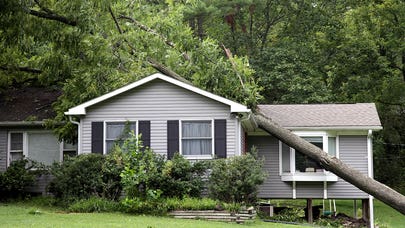 Homeowners insurance and tree damage