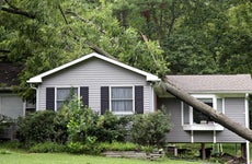 fallen tree on top of a house