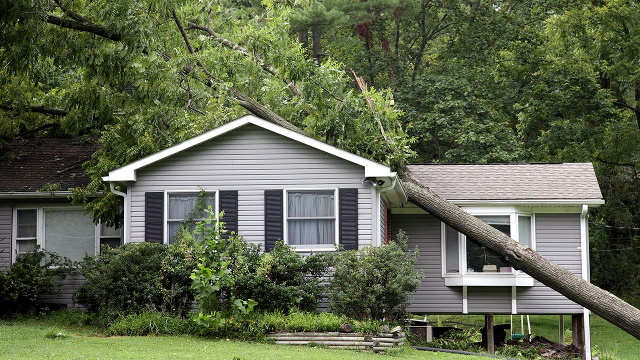 fallen tree on top of a house