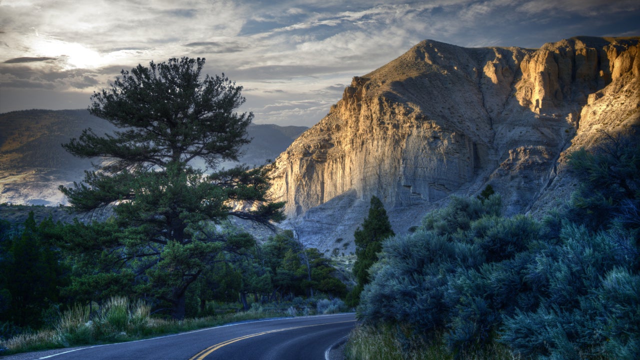 Montana Car Insurance Laws Bankrate