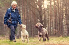 Senior woman exploring scenic environment with dogs