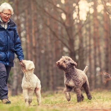Senior woman exploring scenic environment with dogs