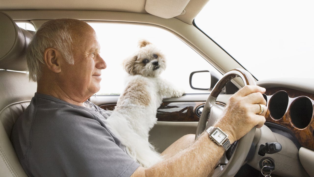 Senior Man Driving with Dog on his lap