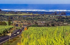 USA, Hawaii, Kamehameha Highway