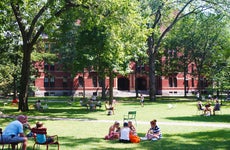 College campus lawn on a sunny day