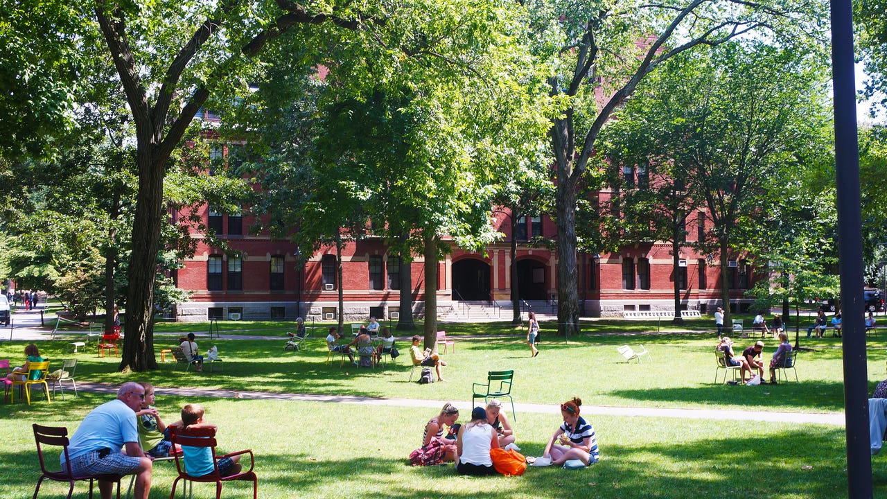 College campus lawn on a sunny day