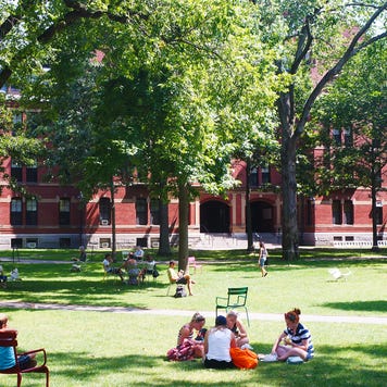 College campus lawn on a sunny day