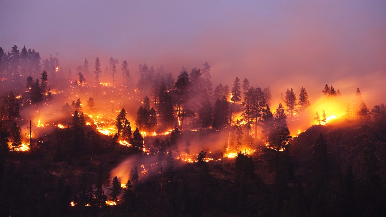 U S Wildfire Statistics Bankrate