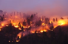 A forest fire burning the side of a mountain in Montana.