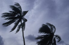 Florida windstorm insurance