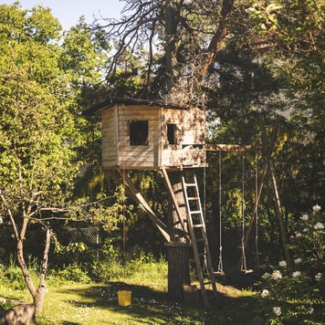 Tree house