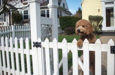 Does home insurance cover fences?