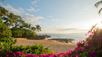 Photo of secluded beach surrounded by trees and flowers - Maui, Hawaii