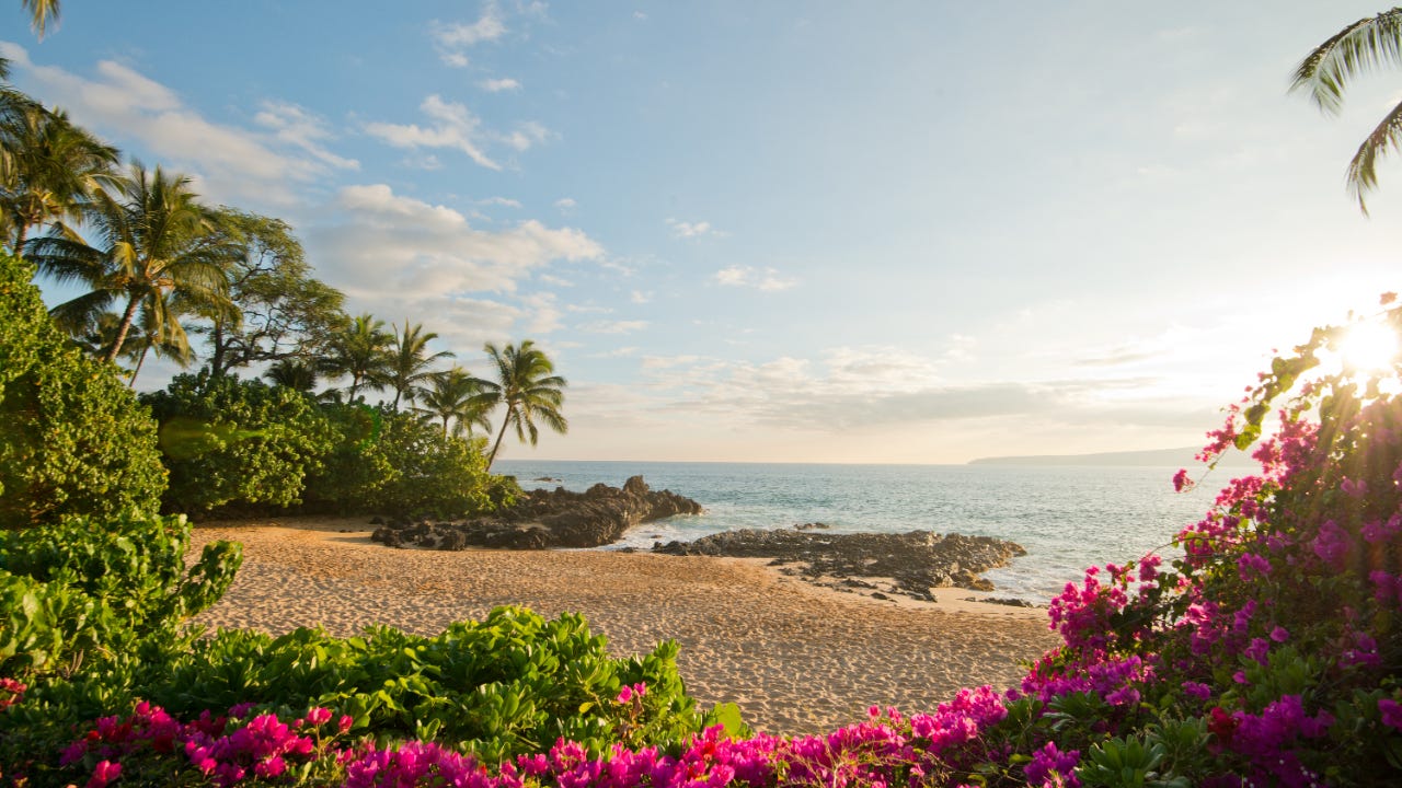 Photo of secluded beach surrounded by trees and flowers - Maui, Hawaii