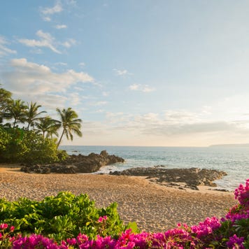 Photo of secluded beach surrounded by trees and flowers - Maui, Hawaii