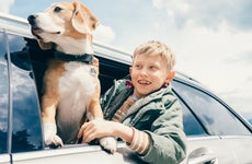 Boy and dog looking out car window