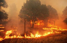 What you need to know about wildfire insurance in California
