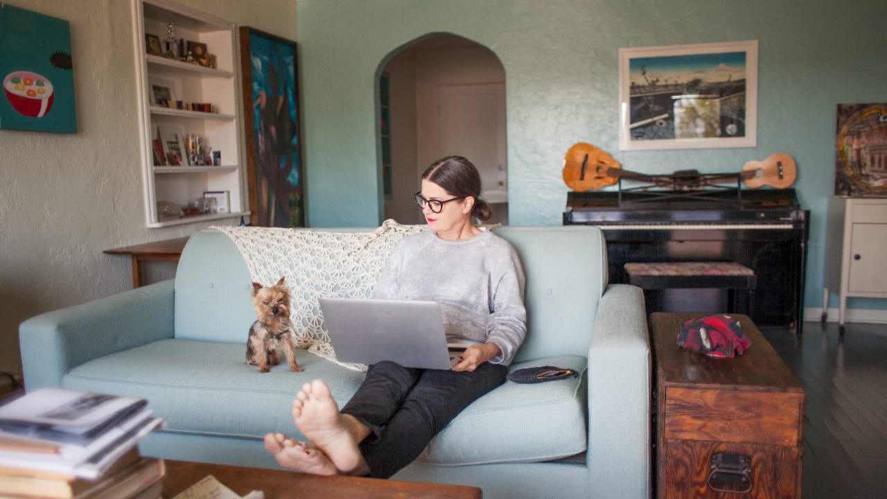 A woman with a laptop sits on a couch with a small dog