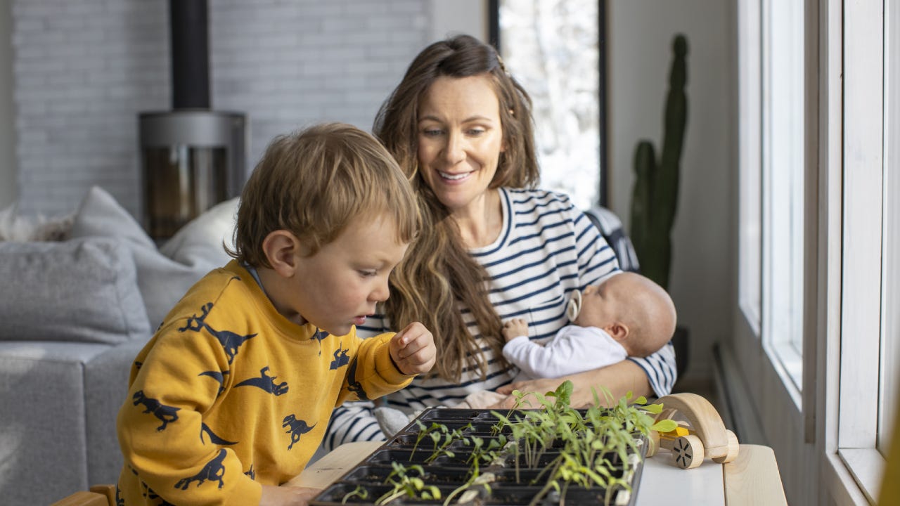 A mother and her toddler son planting an indoor garden during the COVID home quarantine.