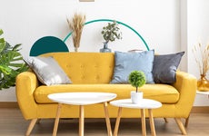 Illustrated collage featuring a yellow couch and plants in a room
