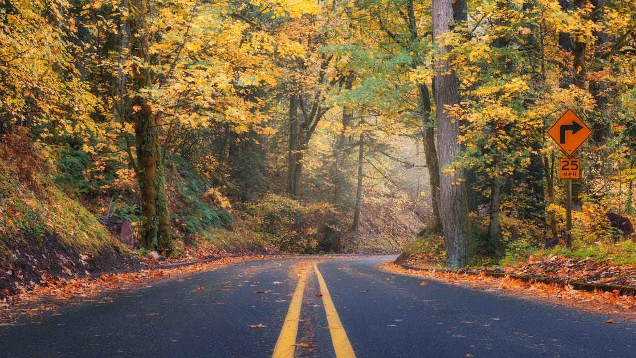 Fall foliage on a country highway, Oregon