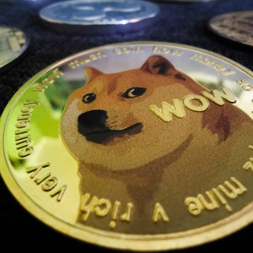 A picture of a physical dogecoin