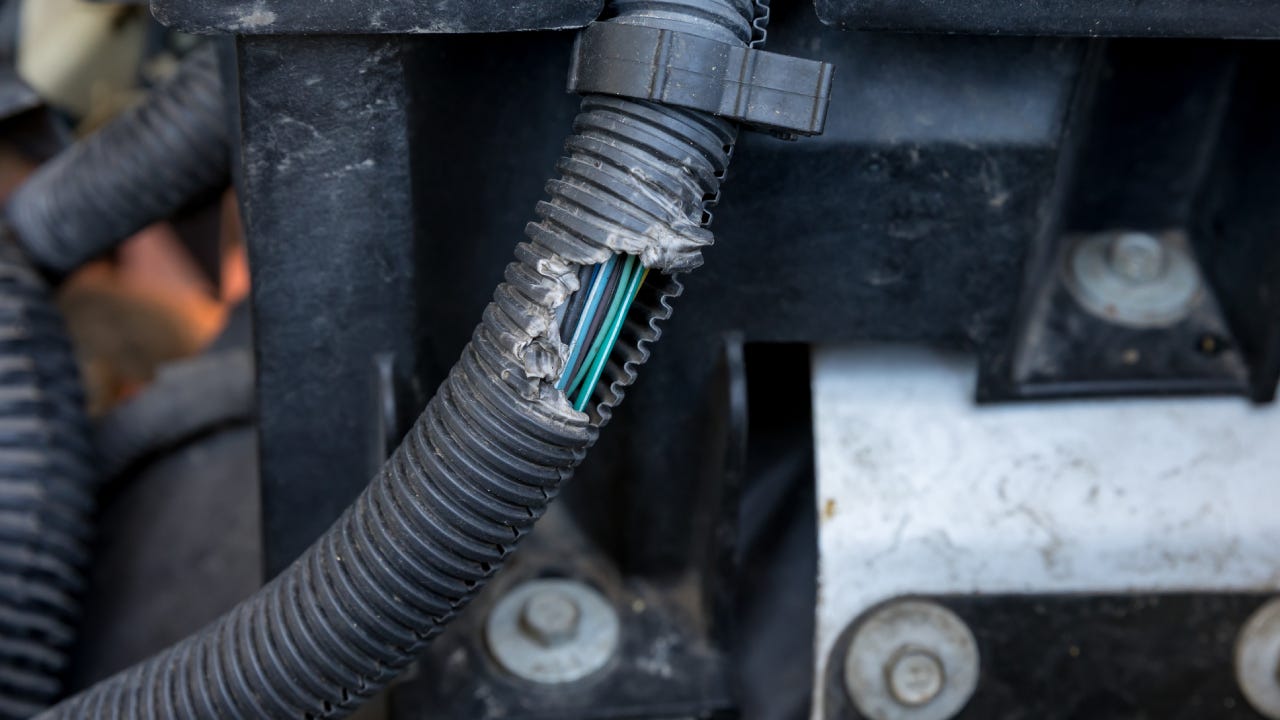 Does Car Insurance Cover Rodents Chewing Wires? | Bankrate