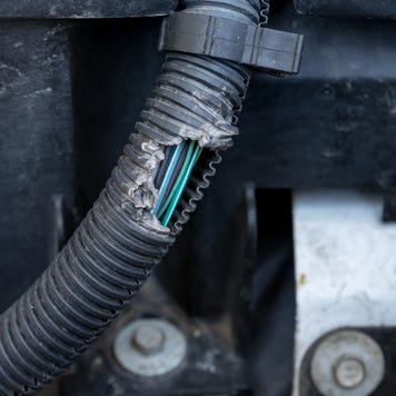 car engine electrical wiring harness damage from chewing rodent