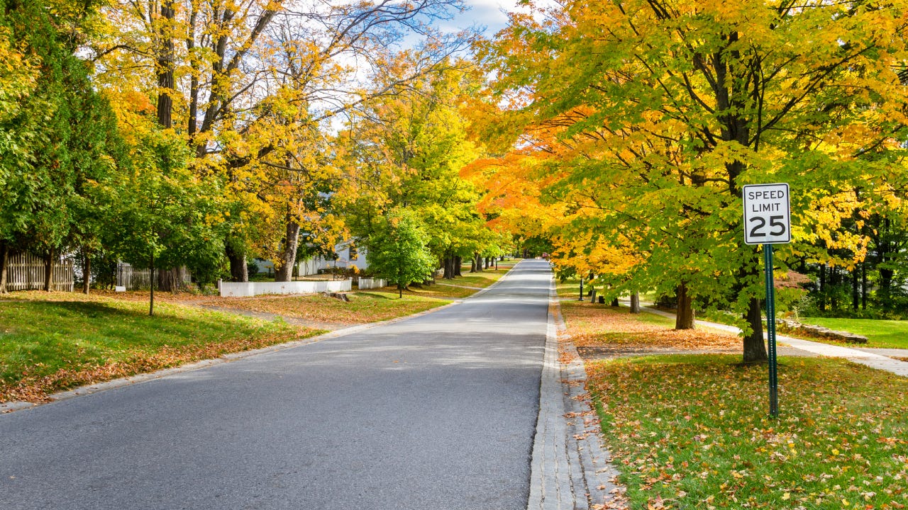 Street Lined with Colourful Autumnal Tree through a Tranquil Residential District