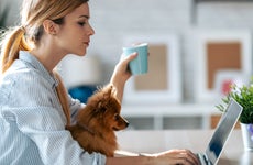 Woman sits at computer with dog
